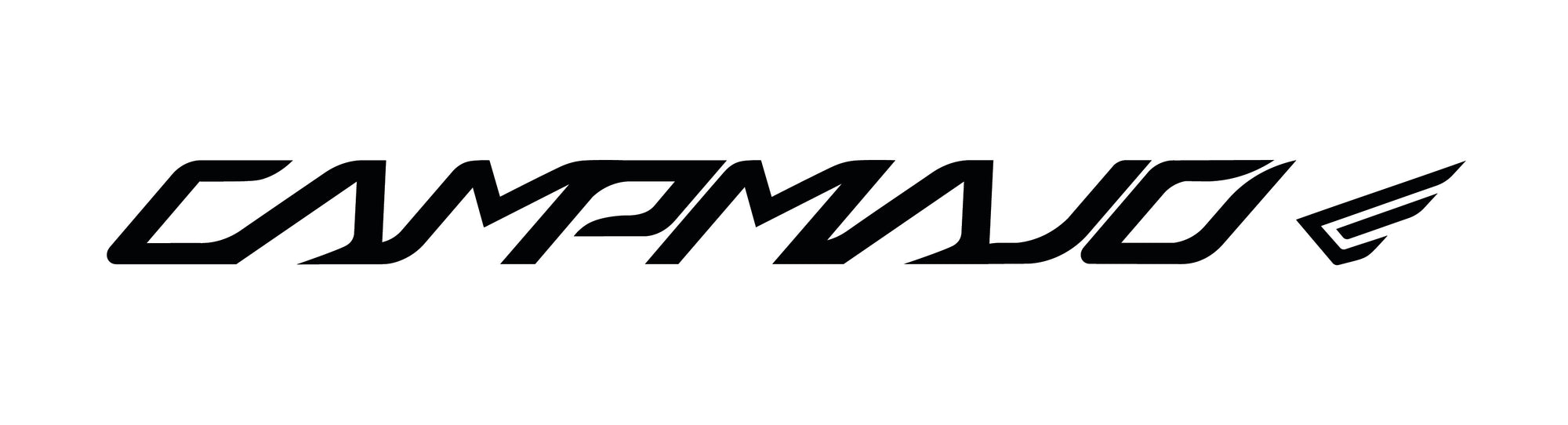 Campmajo E-Assist Full Suspension Tandem