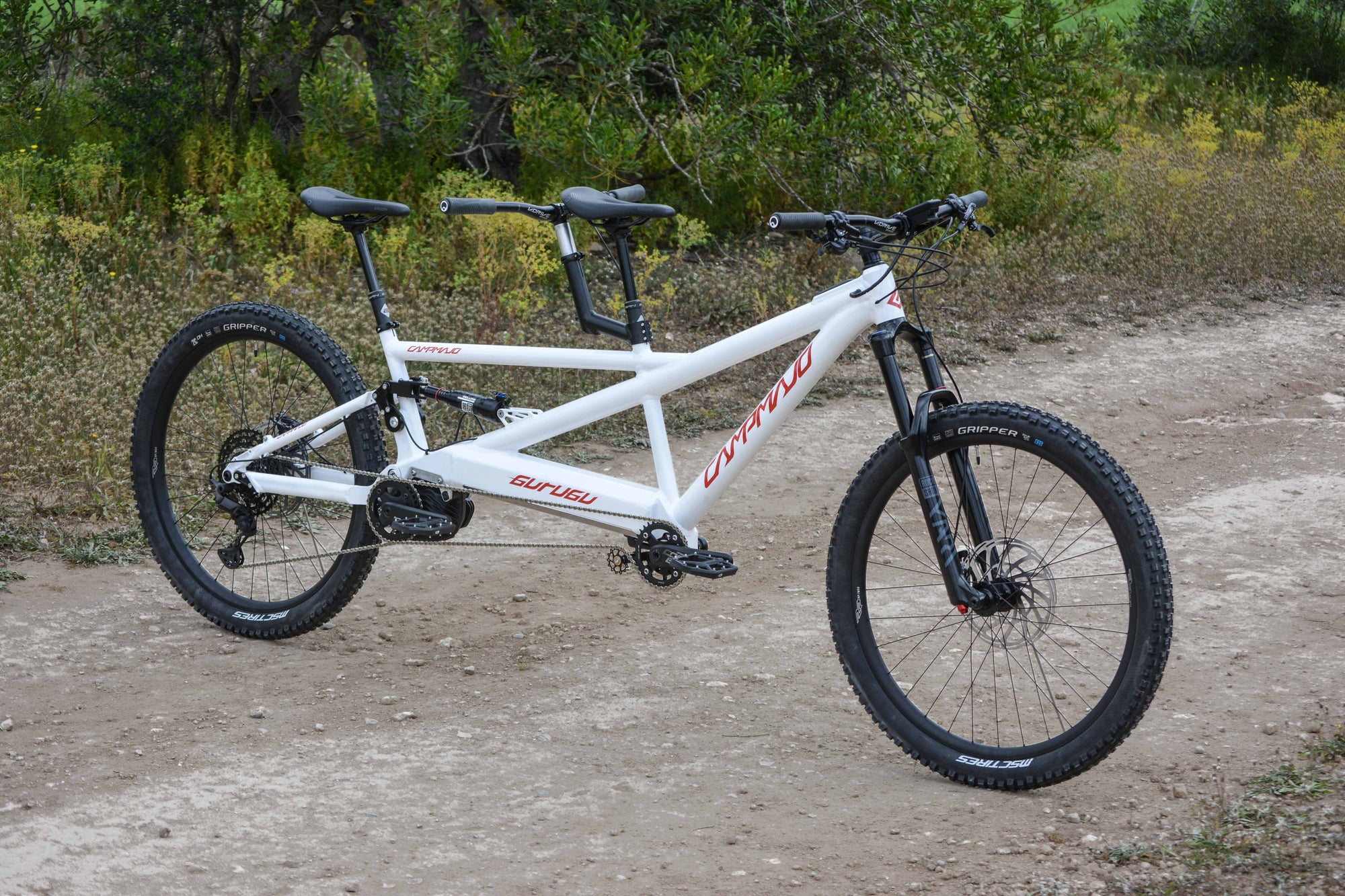 Campmajo E-Assist Full Suspension Tandem