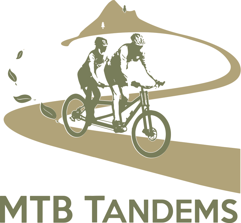 4 man top tandem bike